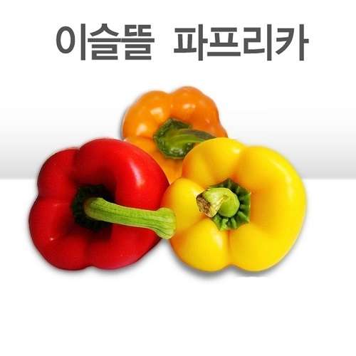 [이슬뜰영농조합법인]  파프리카(3Kg, 16-18Ea정도, 개별포장) 매주 화,금 발송  