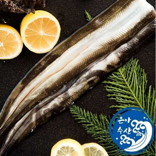 [은아수산] 자연산 바다장어 1kg(옵션선택) 