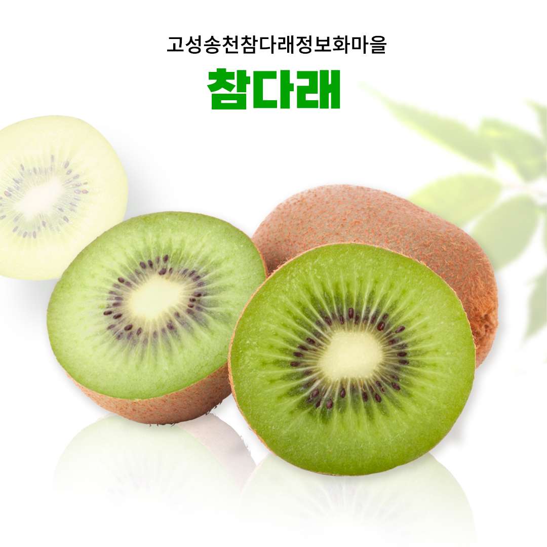 [참다래마을]참다래 3kg(옵션선택) 