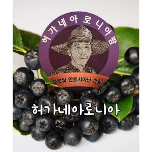 [허가네아로니아]2019년산 냉동 아로니아