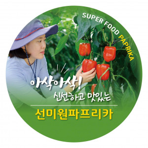 [선미원농장]파프리카(1Kg, 5~8개 내외) *일시품절*