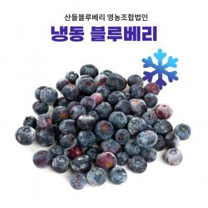 [산들블루베리영농조합법인] 2025년 냉동 블루베리  꽁꽁(중량선택) 