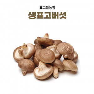 [표고뜰농장] 무농약 생표고버섯(옵션선택) *농가사정으로 일시품절*