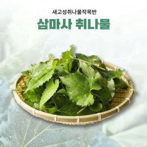 [새고성취나물작목반]삼마사 유기농 취나물(옵션선택)