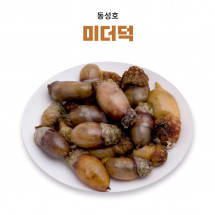 [동성호]생물 미더덕