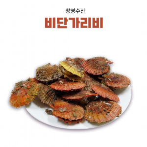 [창영수산] 비단가리비(1kg~10kg)