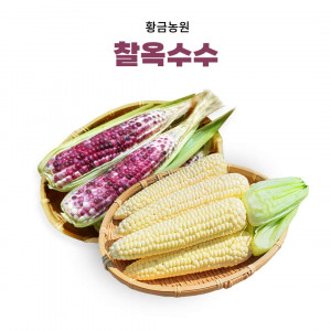 [황금농원] 찰옥수수(흑찰) *내년 7월에 만나요~*