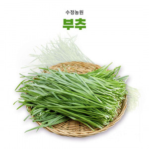 [수정농원] 부추(1kg) 11월에 다시 만나요~
