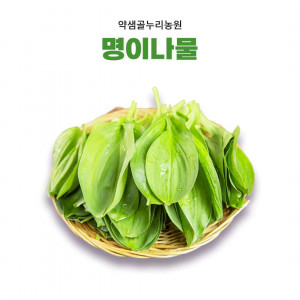 [약샘골누리농원] 무농약 명이나물생채(1kg, 2kg, 4kg)