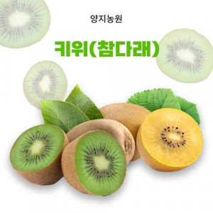 [양지농원]무농약 참다래 10Kg(옵션선택)  