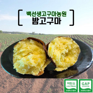 [백선생고구마농원]2025년산 밤고구마 (중품 또는 하품) 10kg  