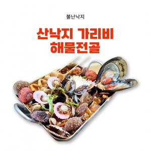 [불난낙지] 산낙지가리비해물전골(2~3인분)