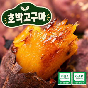 [백선생고구마농원] 2026년산  호박고구마(5kg, 10kg)