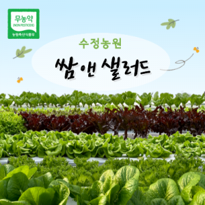[수정농원] 쌈앤 샐러드 (옵션선택)