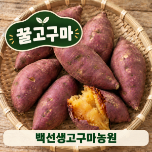 [백선생고구마농원] 2026년산  꿀고구마(5kg, 10kg)